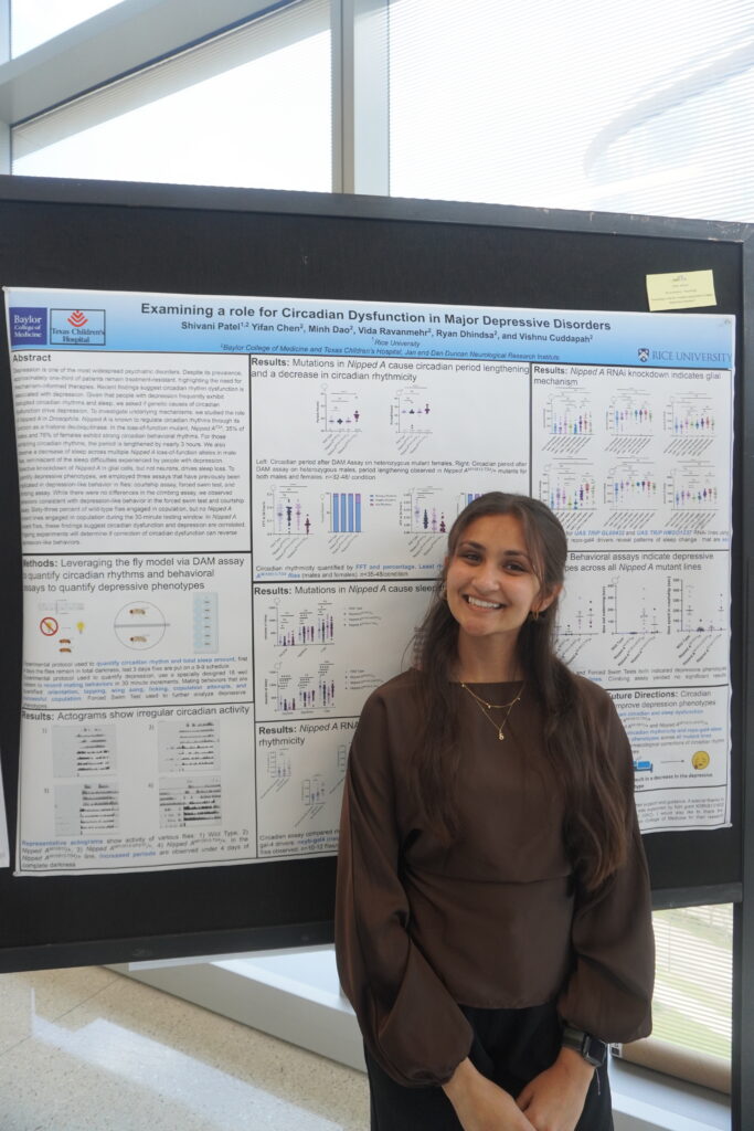 Shivani @ Brown
